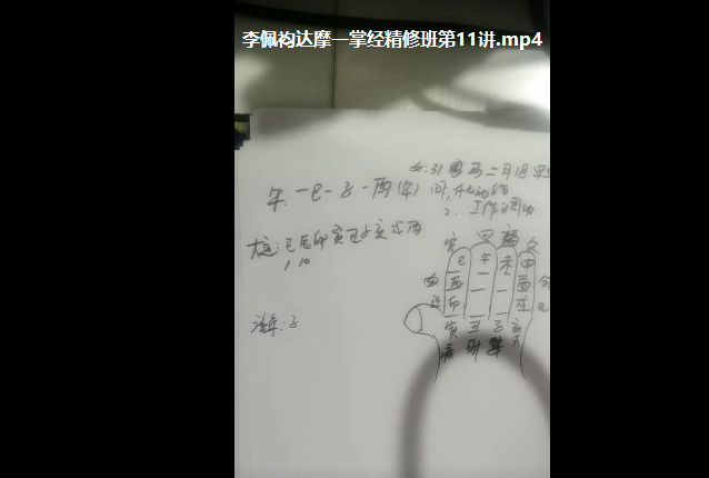 李佩袀 达摩一掌经精修班视频12集