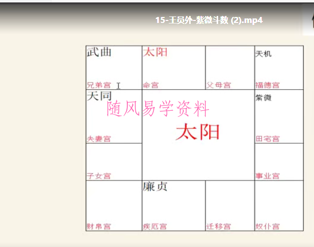 王员外-紫微斗数课程30集视频