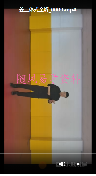 姜书洋《三体式全解》视频9集