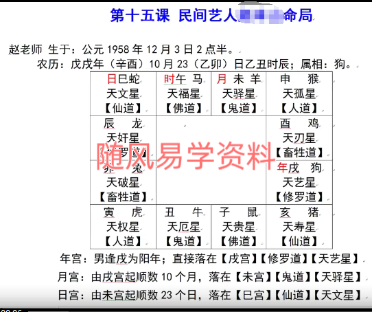 杨家鹤《达摩一掌经》视频21集