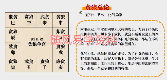 玄门有鲤 23年 紫微初级系统班视频