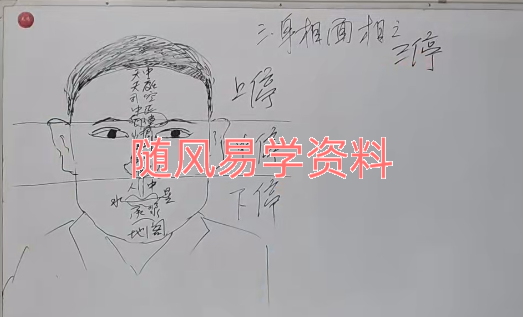 繆晓龙《身相面相识人智慧》视频 28集  无水印