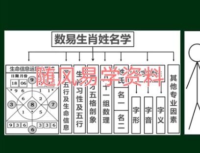 宗朔   数易专业课 53集视频