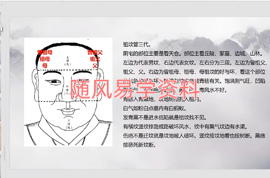 壹一  高级面相课14集视频