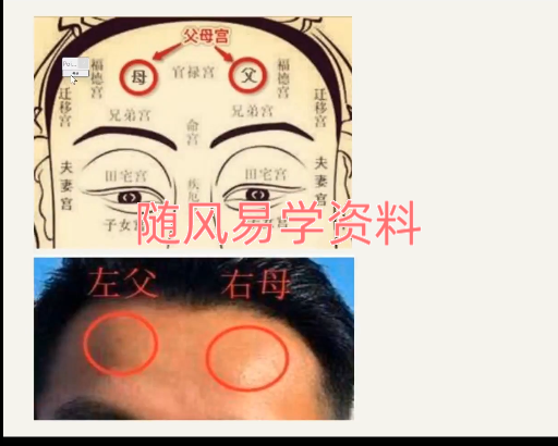壹一【高级面相识人术课程】35集视频