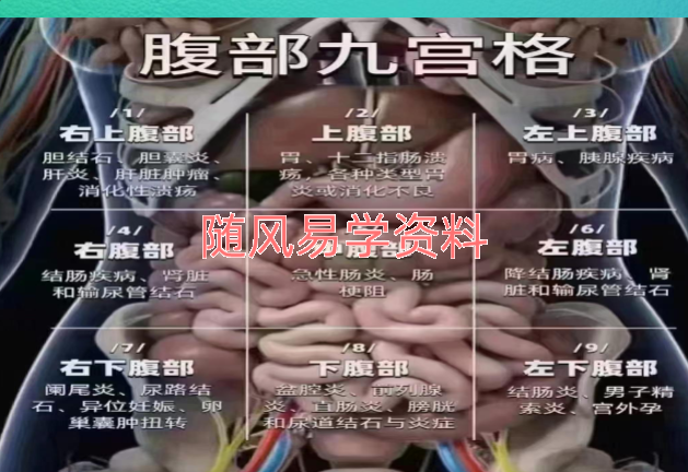 刘晨萱-疾病健康秘籍143页