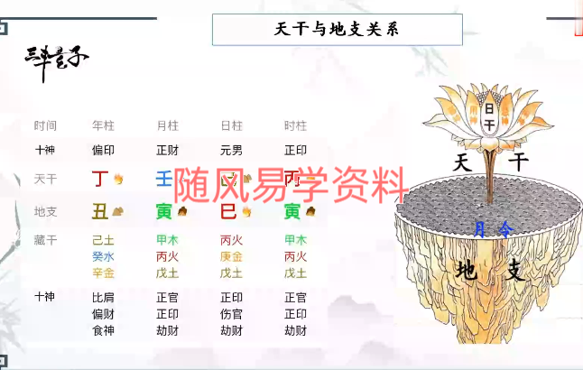 三丰玄子   传统子平格局法中级课程76集视频