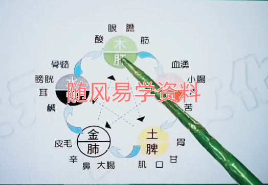 杨秀华    23节改运秘术视频23集