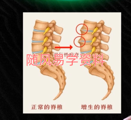 李慈  八卦象思维解读疾病24集视频