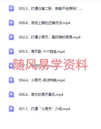 悟真   混元真气通督法8集视频