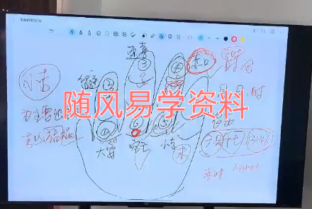 太庐国学  小六壬预测术视频9集(清晰度一般)