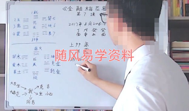 苏志荣   金庸梅花易初16集+中10集视频（金融预测）