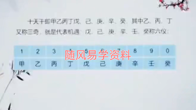 赵丹《奇门遁甲》 11集视频