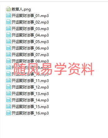 懋辰   开运聚财法事录音+文档