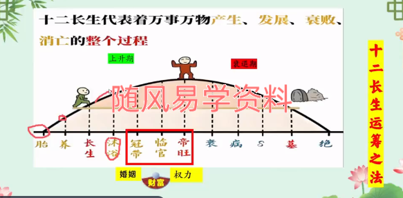婵悦  奇门秘阵10集