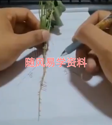 混元地理   拔草断技法视频10集