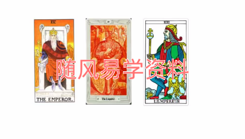 散人    马赛塔罗数字迷局12集