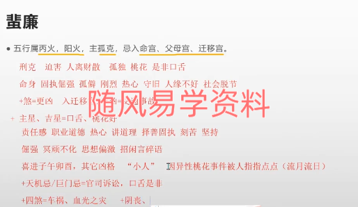 壹糖《紫微线上弟子研修》11集视频